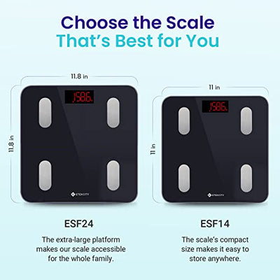 Etekcity Bluetooth Body Composition Scale - Digital Weight Scale with BMI, Body Fat & Muscle Mass Tracking - Dreamchaser Headquarters