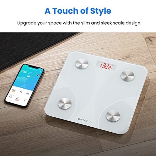 Etekcity Bluetooth Body Composition Scale - Digital Weight Scale with BMI, Body Fat & Muscle Mass Tracking - Dreamchaser Headquarters