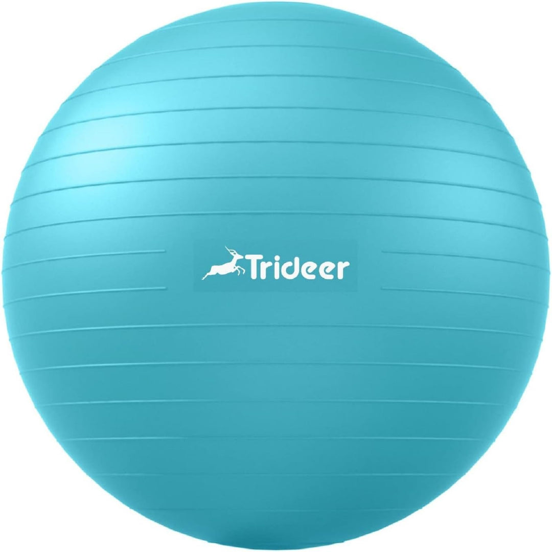 Trideer Exercise Ball for Therapy, Pregnancy &amp; Fitness - Non-Slip, Safe Design, Quick Pump Included, 5 Sizes - Dreamchaser Headquarters