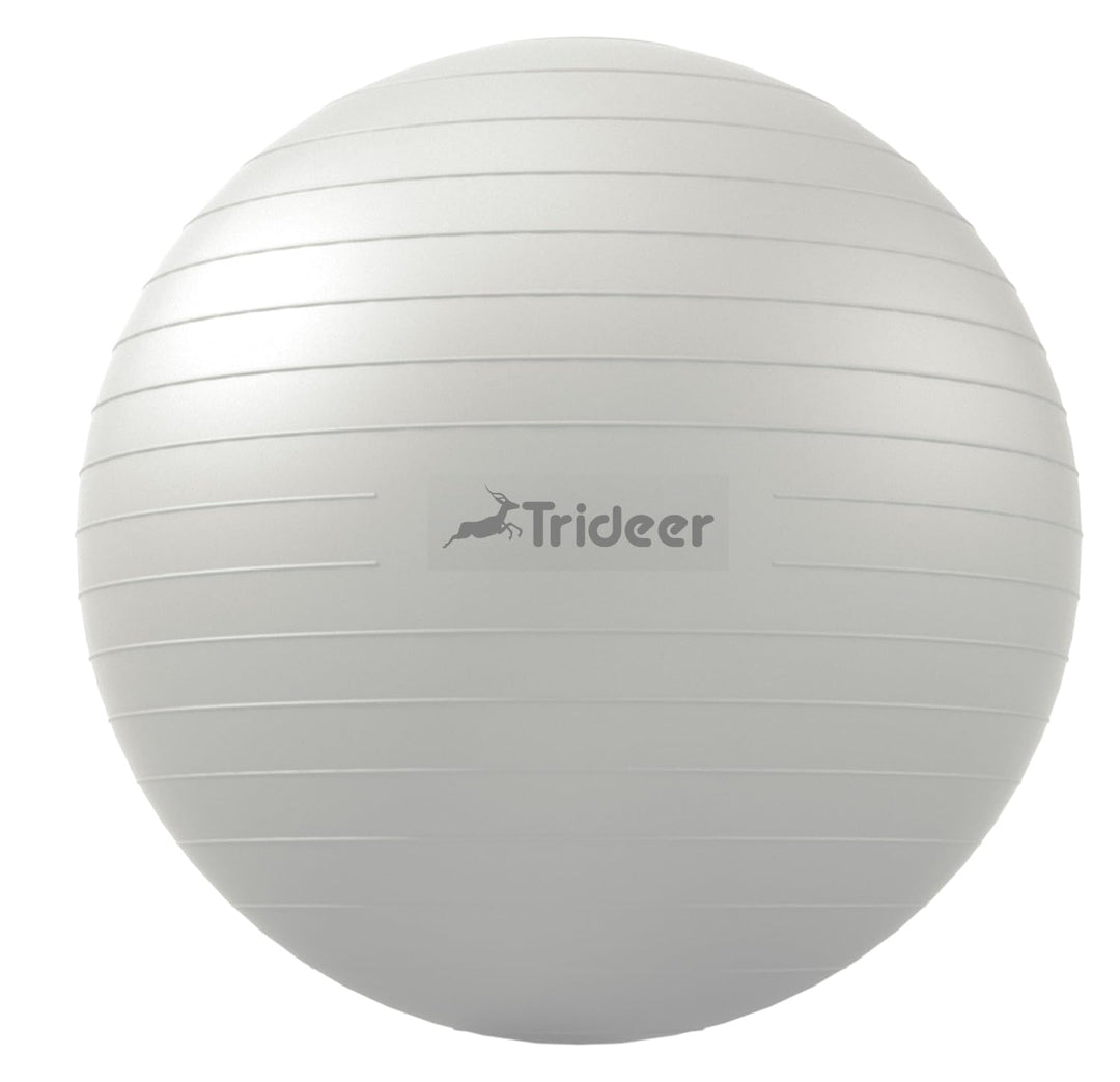 Trideer Exercise Ball for Therapy, Pregnancy &amp; Fitness - Non-Slip, Safe Design, Quick Pump Included, 5 Sizes - Dreamchaser Headquarters