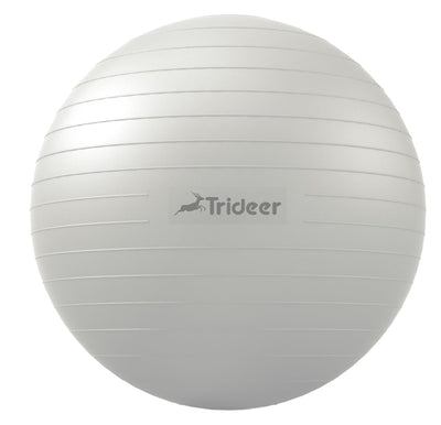 Trideer Exercise Ball for Therapy, Pregnancy & Fitness - Non-Slip, Safe Design, Quick Pump Included, 5 Sizes - Dreamchaser Headquarters