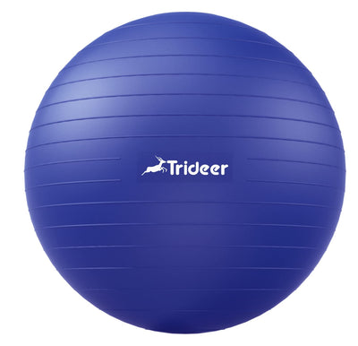 Trideer Exercise Ball for Therapy, Pregnancy & Fitness - Non-Slip, Safe Design, Quick Pump Included, 5 Sizes - Dreamchaser Headquarters