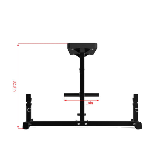 Seal Row Bench for Upper Back Strength &amp; Muscle Development | DreamChaserHQ
