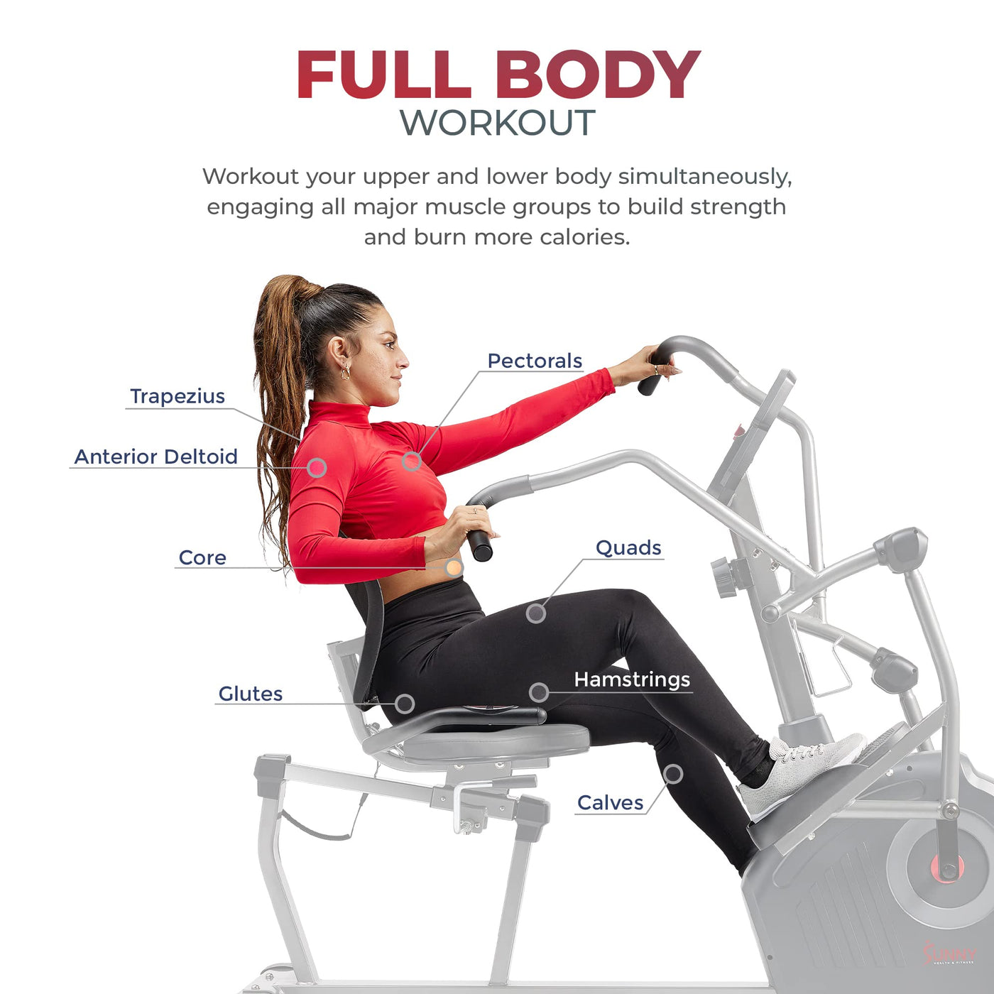Sunny Health & Fitness Electromagnetic Recumbent Cross Trainer Exercise Elliptical Bike w/Arm Exercisers, Easy Access Seat & Exclusive SunnyFit® App Enhanced Bluetooth Connectivity - SF-RBE4886SMART