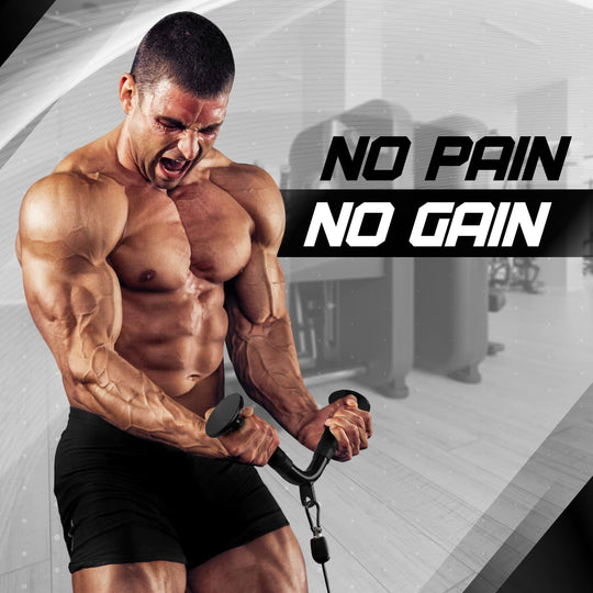 Cable Machine Attachment Set for Upper Body Strength Training | DreamChaserHQ