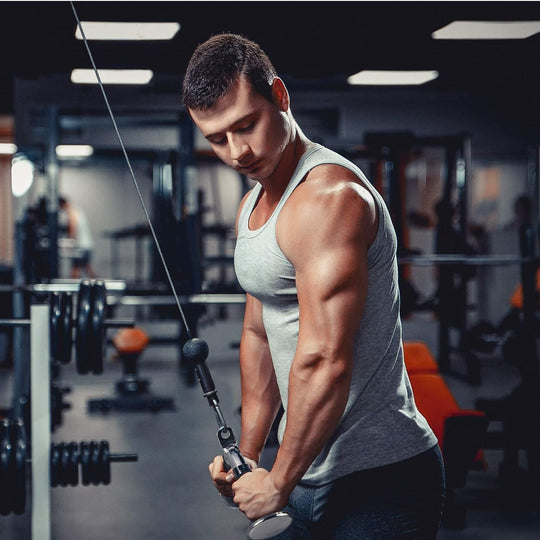Cable Machine Attachment Set for Upper Body Strength Training | DreamChaserHQ