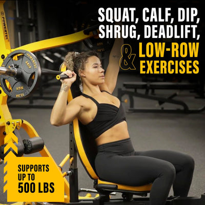 Powertec Fitness Workbench LeverGym - Workout Bench, 500 LB Weight Capacity, Black - Gym Equipment for Home - Adjustable Full Body Workout Machine - Dreamchaser Headquarters